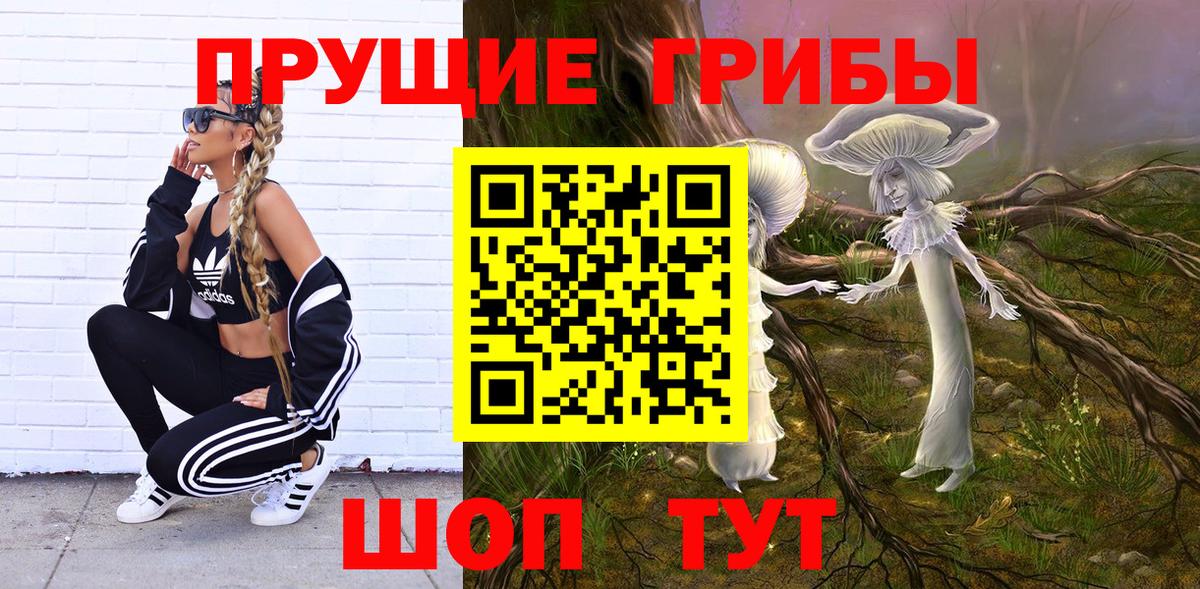 Галлюциногенные грибы прущие грибы  Псилоцибиновые грибы GOLDEN TEACHER  купить закладку  Вход с VPN  Кыштым 